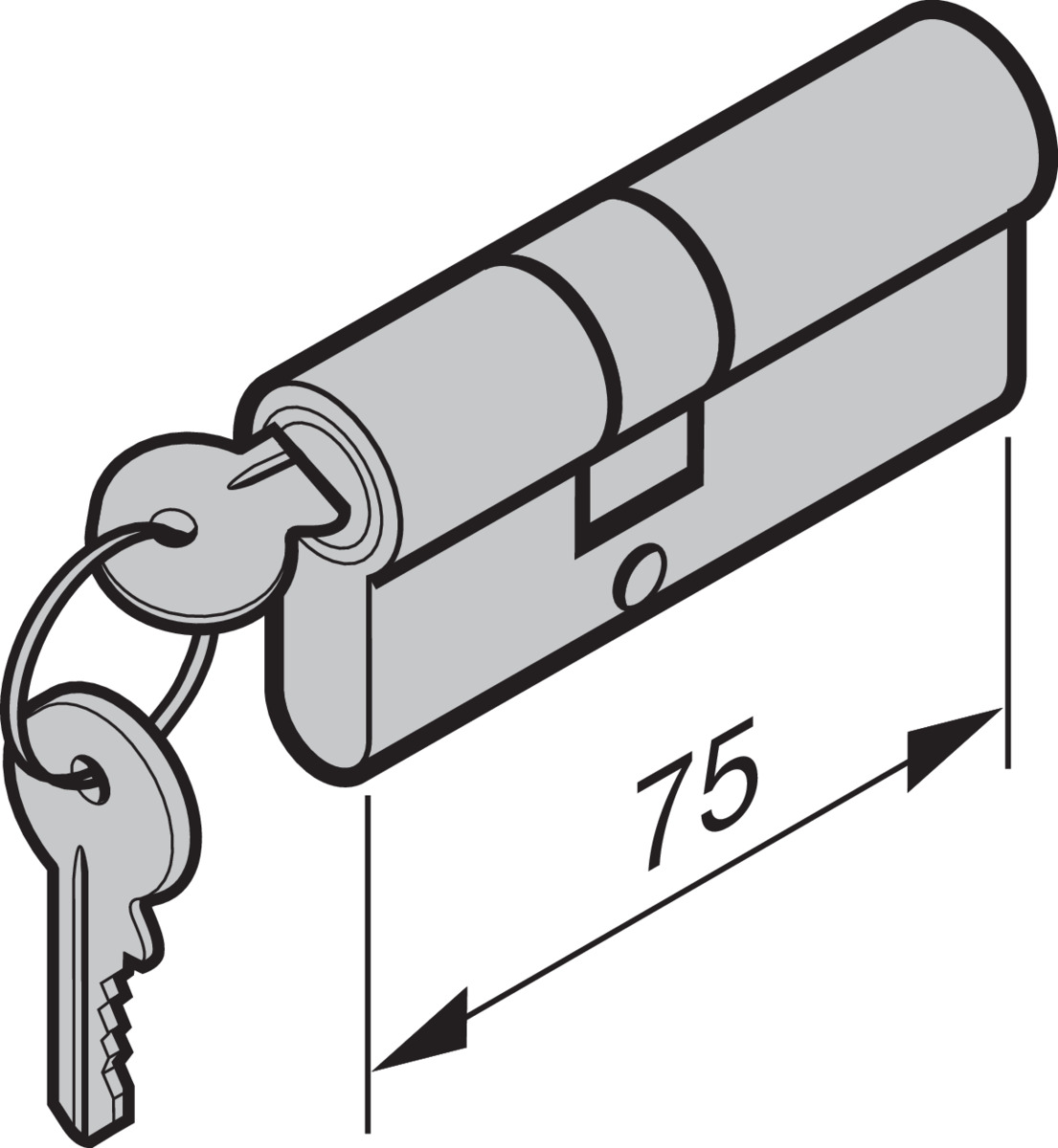 Hörmann Profil- Doppelzylinder 35+40mm RC 2,für NT60 für Industrie Sektionaltor BILD 1